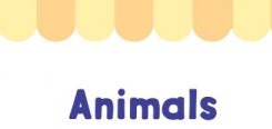 Animals